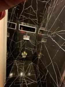 photo 2025 09 26 20 29 22